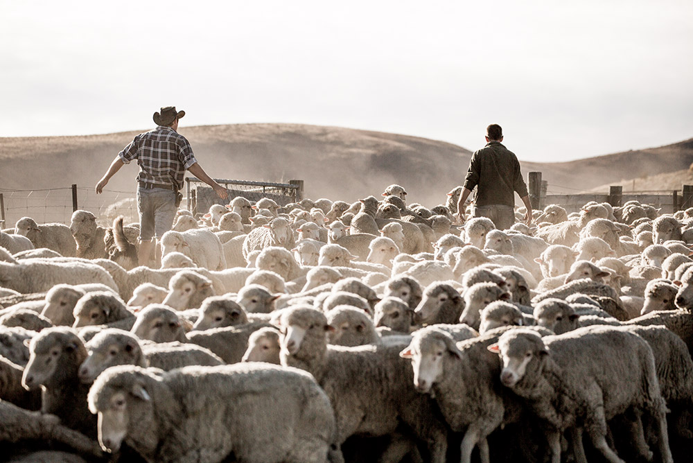 Layering with Merino Wool evo